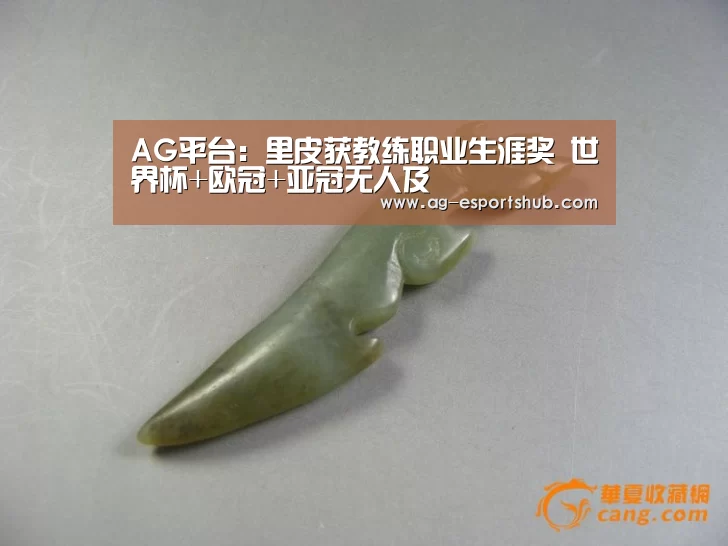 AG平台:里皮获教练职业生涯奖 世界杯+欧冠+亚冠无人及(图2) AG真人