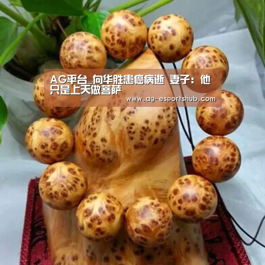 AG平台_向华胜患癌病逝 妻子:他只是上天做菩萨(图4) AG娱乐