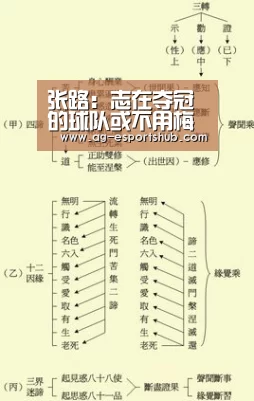 AG电竞